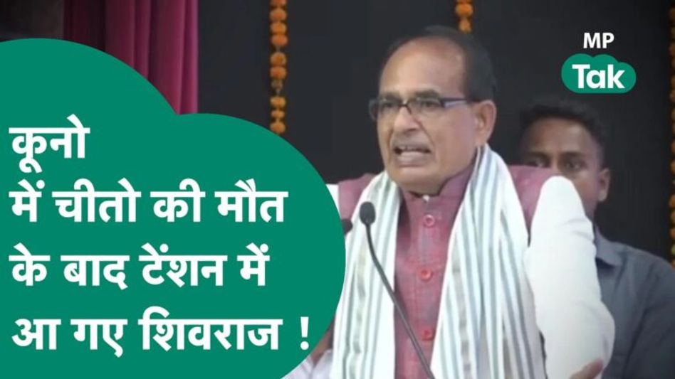 कूनों मे चीतों की मौत पर पहली बार बोले CM शिवराज, बताई ये बड़ी वजह Video Thumbnail