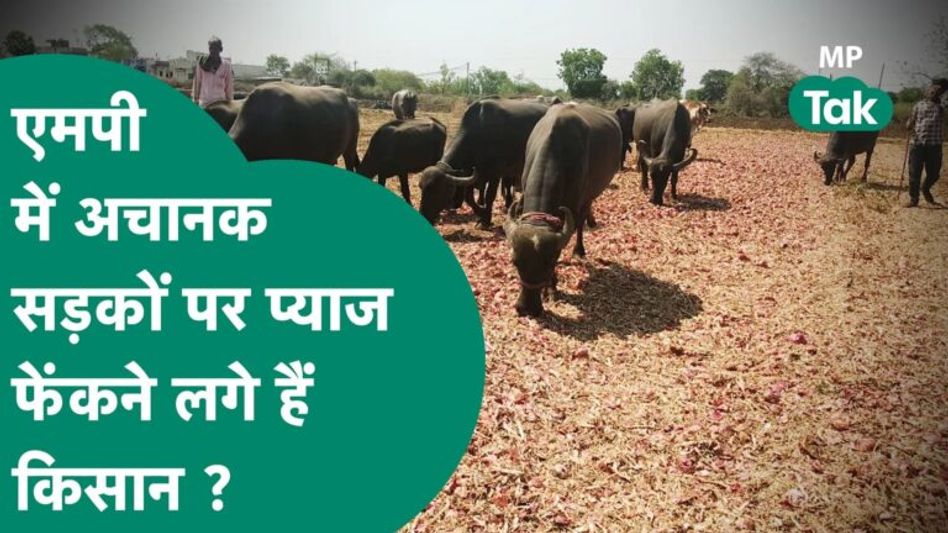 MP के किसानों ने फेंकनी शुरू कर दी है प्याज ! | MP Tak Video Thumbnail