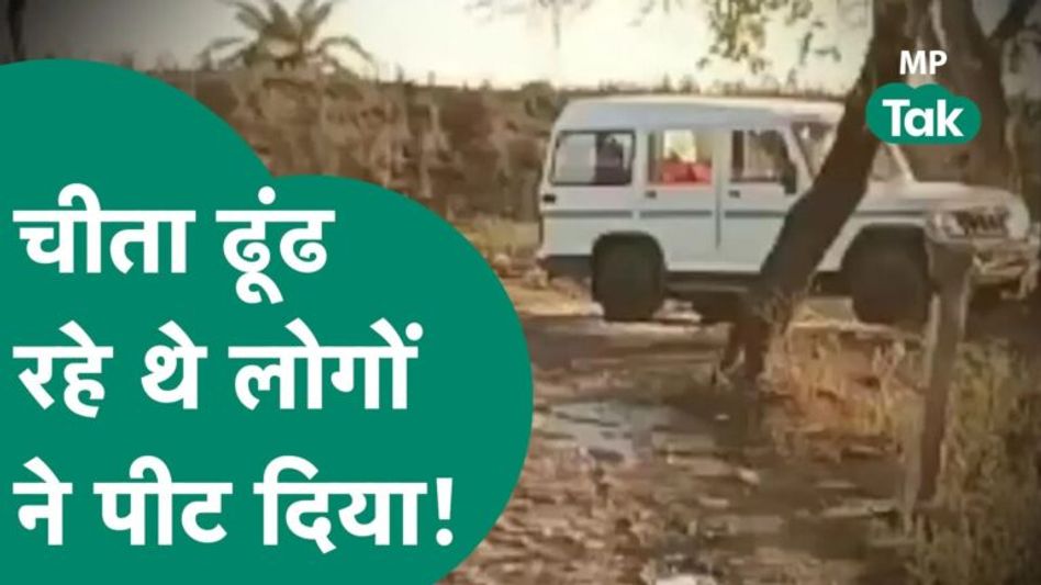 कूनो नेशनल पार्क से निकली आशा तो उसकी तलाश में निकले वन अमले को ग्रामीणों ने पीटा Video Thumbnail