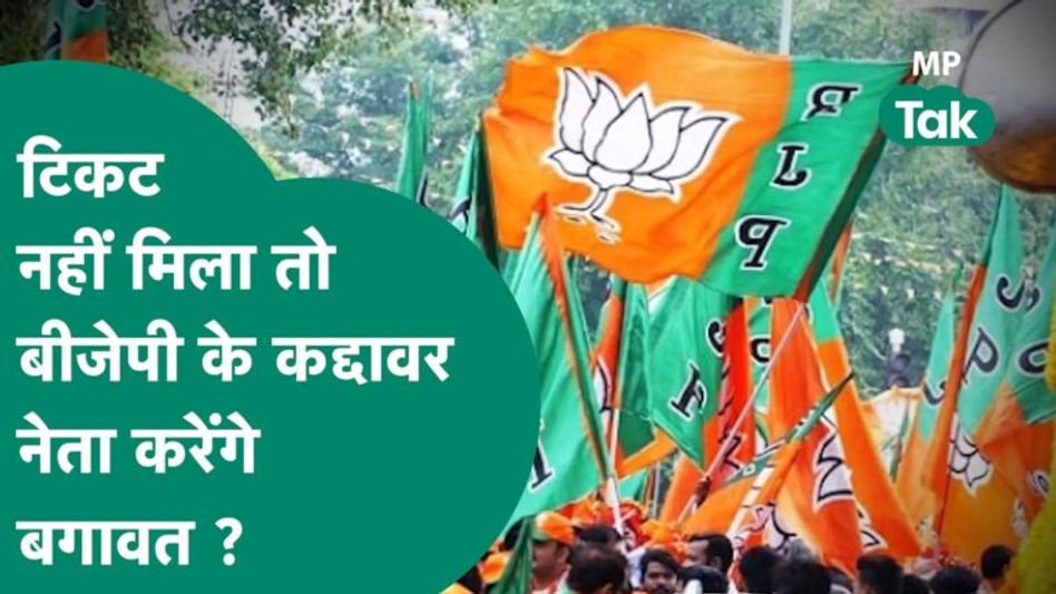 Scindia के गढ़ के BJP के कद्दावर नेता का बागी रूख, बोले, टिकट नहीं मिला तो मुझे भूल जाए पार्टी ! Video Thumbnail