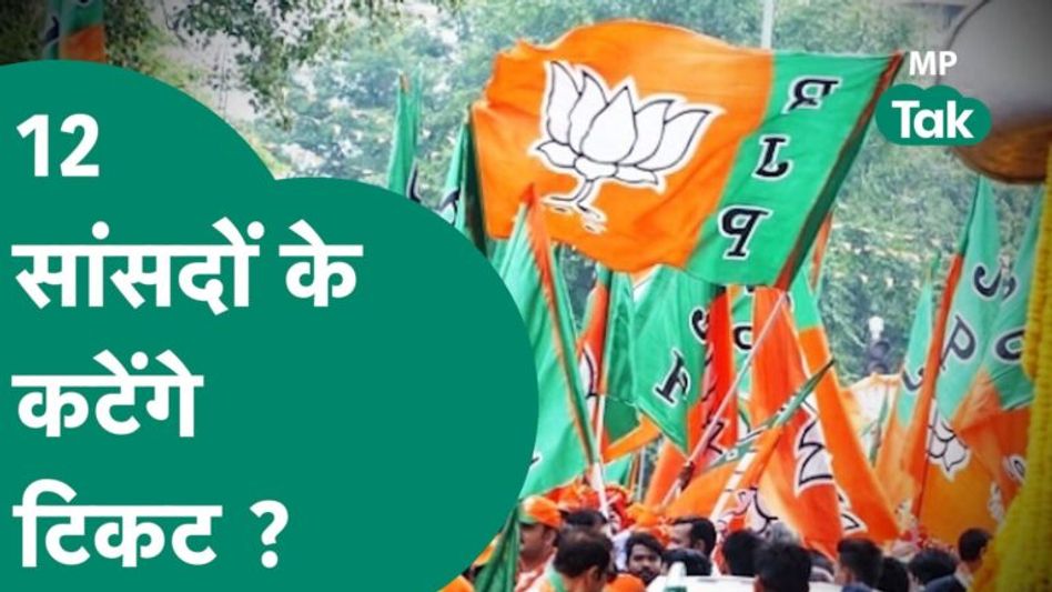 BJP के 12 सांसदों के 2024 लोकसभा चुनाव में कटेंगे टिकट, इन बुजुर्ग सांसदों की जगह युवाओं को मौका ? Video Thumbnail