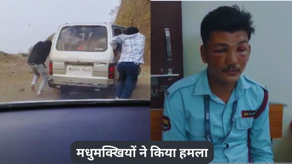 VIDEO: किला घूमने आए पर्यटकों पर मधुमक्खियाें का हमला, चेहरा छिपाते... जान बचाकर भागते नजर आए Video Thumbnail