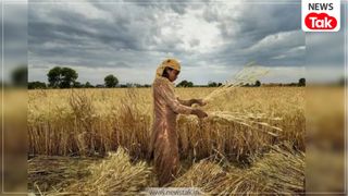 राजस्थान: लाखों किसानों को नहीं मिला सीएम किसान निधि का पैसा, जानें अब क्या करें? राजस्थान: लाखों किसानों को नहीं मिला सीएम किसान निधि का पैसा, जानें अब क्या करें?