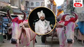 जब बारात में महंगी गाड़ियों की जगह बैलगाड़ी से पहुंचे बाराती तो लोगों का लग गया तांता, सामने आई फोटोज जब बारात में महंगी गाड़ियों की जगह बैलगाड़ी से पहुंचे बाराती तो लोगों का लग गया तांता, सामने आई फोटोज