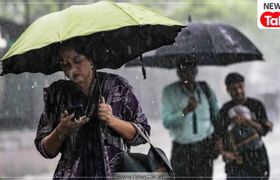 ग्वालियर में गरजेंगे बादल, जबलपुर में झमाझम! जानिए 8 अगस्त को आपके जिले में कैसी रहेगी बारिश? मध्य प्रदेश में जमकर हो रही है बारिश