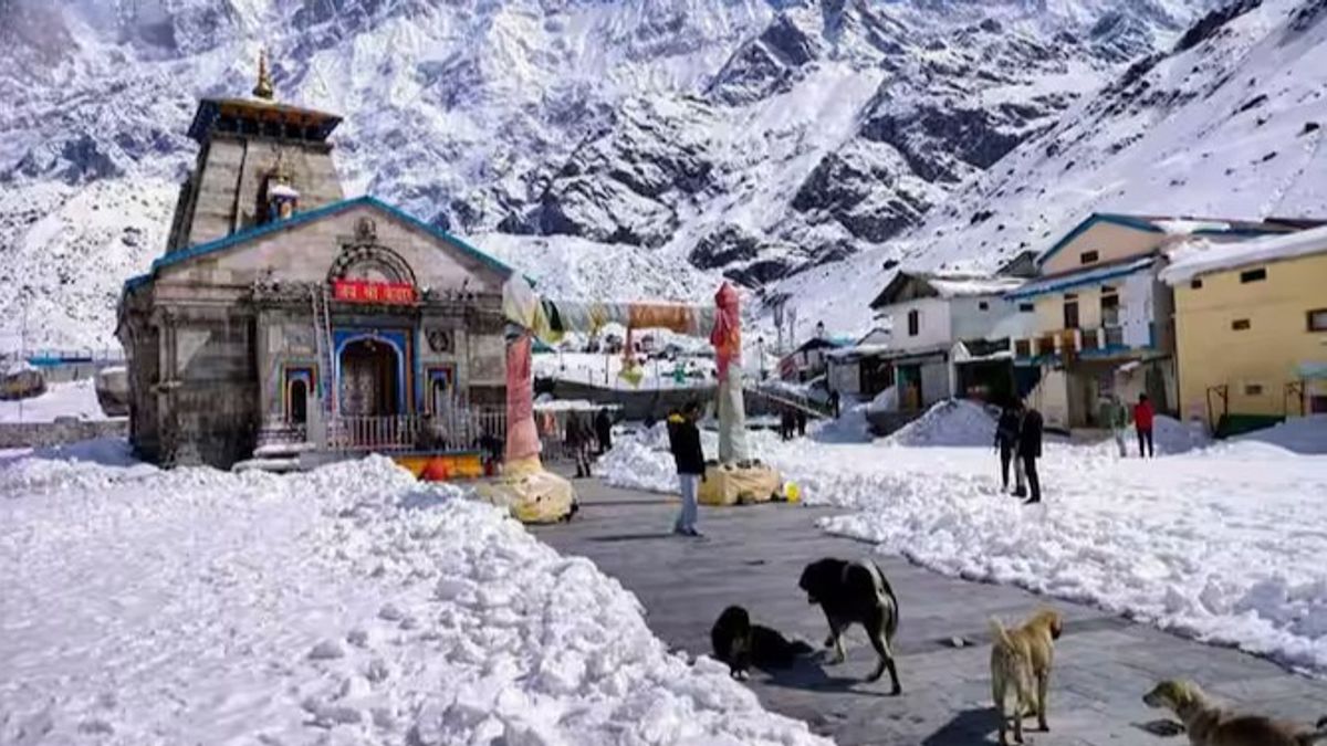बारह ज्योतिर्लिंगों में से एक है केदारनाथ मंदिर, जानें इसकी यात्रा से जुड़ी सभी बातें NewsTak