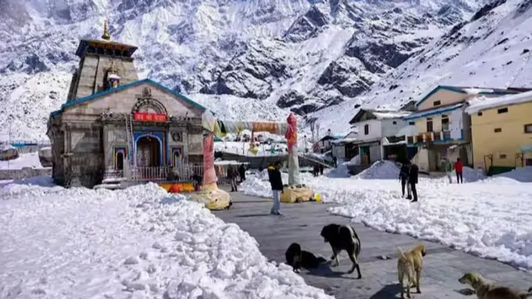 बारह ज्योतिर्लिंगों में से एक है केदारनाथ मंदिर, जानें इसकी यात्रा से जुड़ी सभी बातें NewsTak