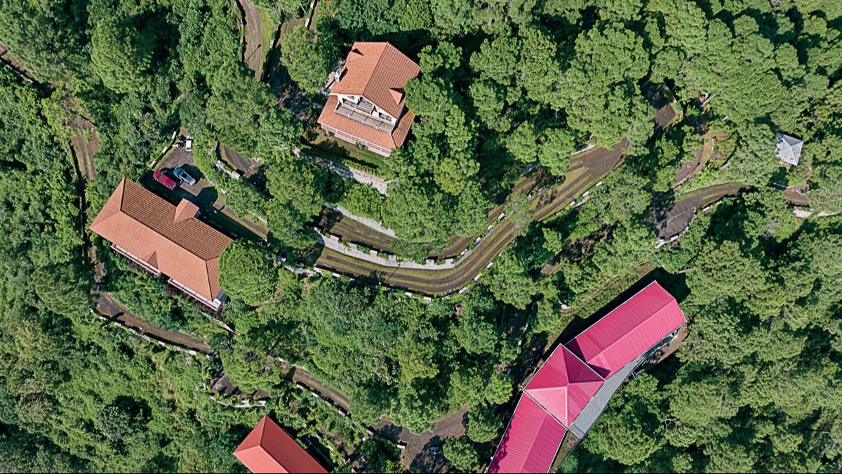 प्रकृति प्रेमियों के लिए स्वर्ग है हिमाचल का कसौली, इन जगहों को देखना न भूलें NewsTak