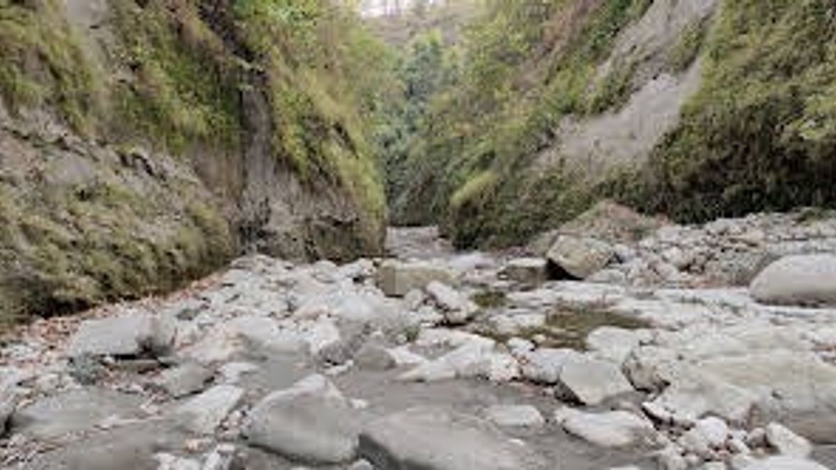 बिहार के लिए किसी जन्नत से कम नहीं है ये जगह, गर्मियों में आप भी पहुंचें घूमने NewsTak