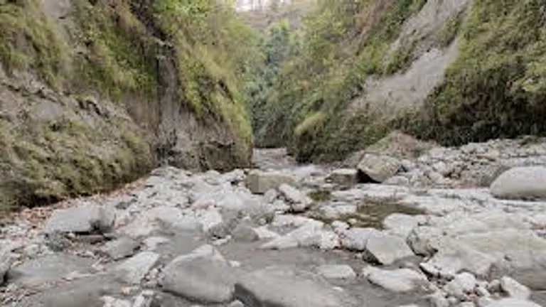 बिहार के लिए किसी जन्नत से कम नहीं है ये जगह, गर्मियों में आप भी पहुंचें घूमने NewsTak