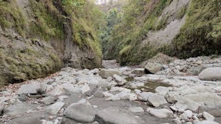 बिहार के लिए किसी जन्नत से कम नहीं है ये जगह, गर्मियों में आप भी पहुंचें घूमने NewsTak