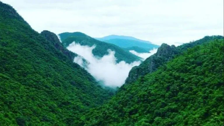 बीच ही नहीं ओडिशा का ये हिल स्टेशन भी है गर्मियों में घूमने के लिए बेस्ट डेस्टिनेशन NewsTak