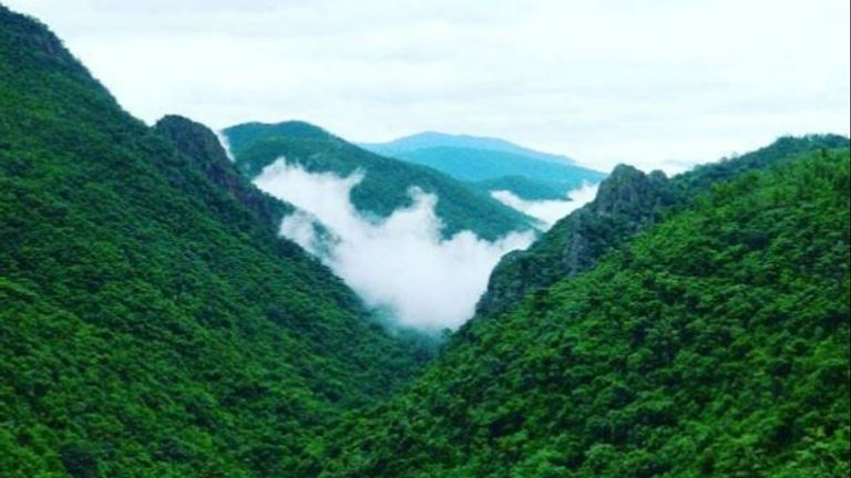 बीच ही नहीं ओडिशा का ये हिल स्टेशन भी है गर्मियों में घूमने के लिए बेस्ट डेस्टिनेशन NewsTak