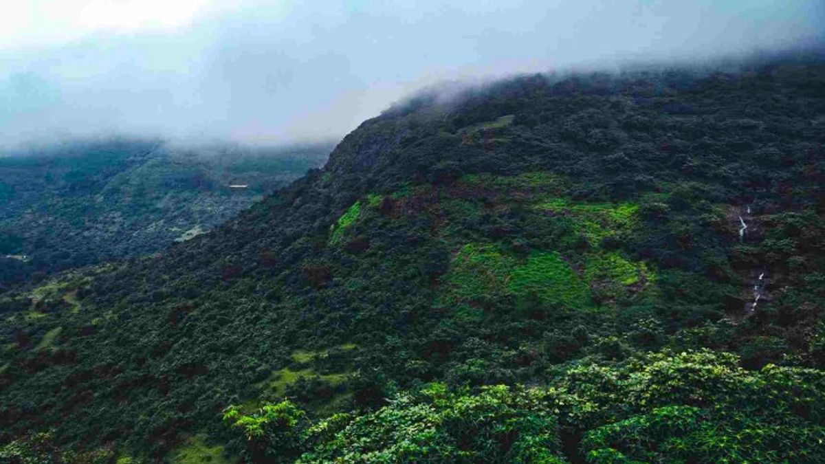 इस मानसून सीजन खंडाला का करें दीदार, यहां का प्राकृतिक सौंदर्य देख मोहित हो जाएंगे आप NewsTak