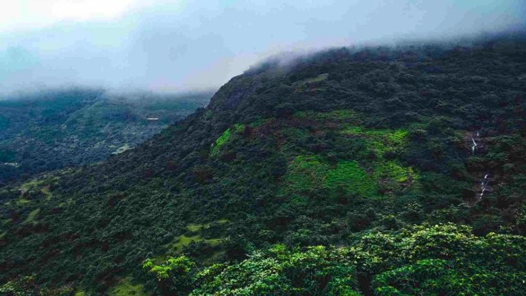 इस मानसून सीजन खंडाला का करें दीदार, यहां का प्राकृतिक सौंदर्य देख मोहित हो जाएंगे आप NewsTak