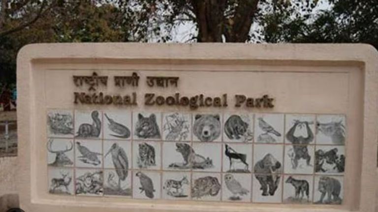 चिड़ियाघर से लेकर रोमांच के झूले तक दिल्ली में बच्चों के मौज मस्ती के लिए ये है बेहतरीन ठिकाने NewsTak