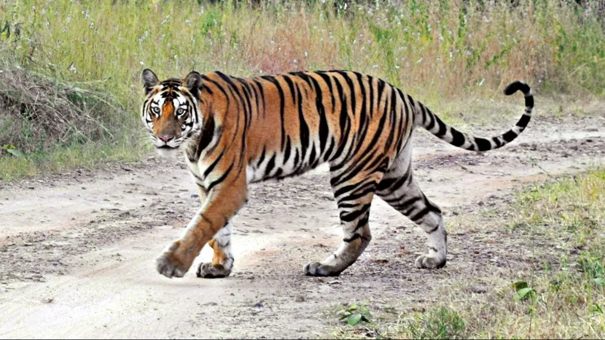 फुर्सत में घूमने के लिए बेस्ट है ये शहर, फ्री में घूमने के लिए यहां मौजूद है कई पर्यटन स्थल NewsTak