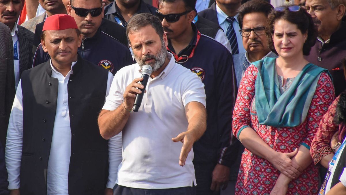 राहुल गांधी ने वायनाड छोड़ रायबरेली को क्यों चुना? लोकसभा चुनाव के नतीजों में छिपा है राज, समझिए NewsTak