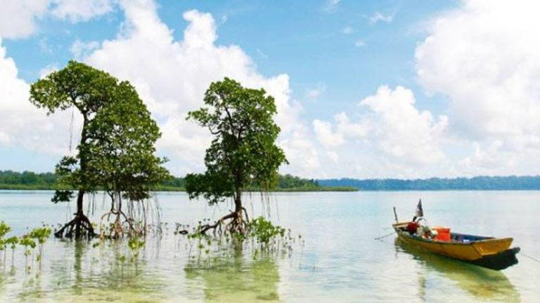 मानसून में इन बेहतरीन जगहों पर करें सैर, फैमिली संग कर सकेंगे फुल मस्ती NewsTak