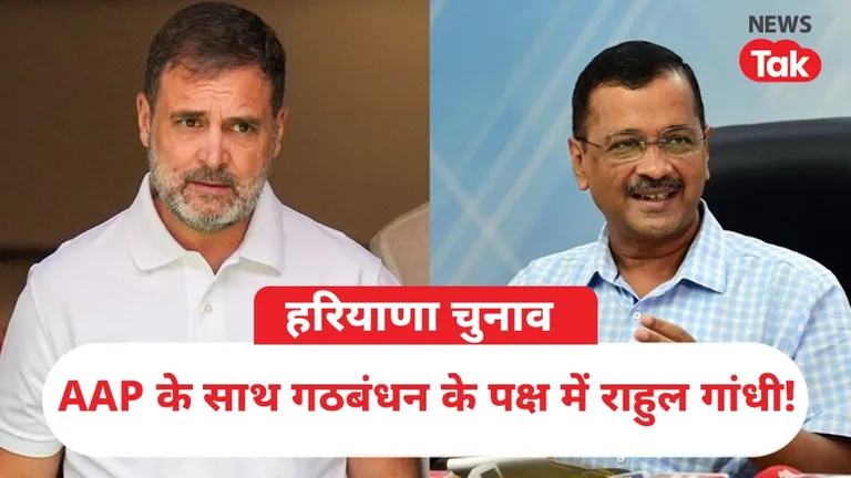 हरियाणा में AAP से कांग्रेस का गठबंधन कराने के पक्ष में राहुल गांधी! 'बिग ब्रदर' बनेंगे क्या? NewsTak