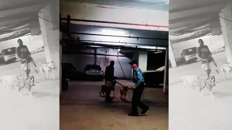 Noida: गौर सिटी के बेसमेंट में 3-3 कुत्ते लेकर पहुंचा ये शख्स, गार्ड ने टोका तो दी Dog अटैक की धमकी noida_video_viral