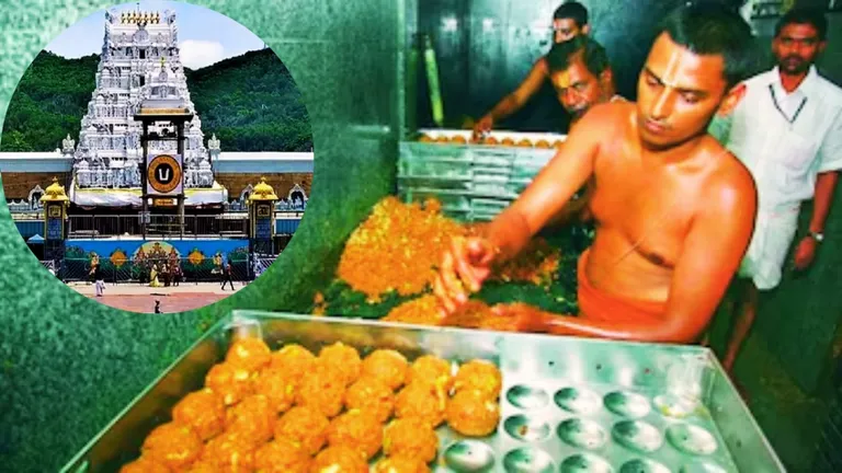 घी का ब्रांड बदलने से हुई तिरुपति के लड्डू में गड़बड़ी? तिरुमाला प्रसादम विवाद की पूरी कहानी tirupati_laddoo_prasadam