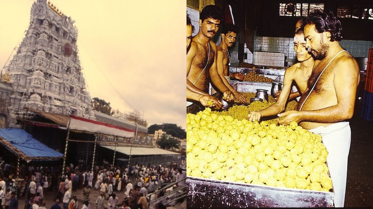 सबसे धनवान मंदिर तिरुपति बालाजी और करोड़ों रुपए में बिकने वाले लड्डू 'प्रसादम' की है गजब की कहानी NewsTak