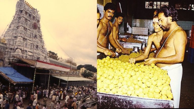 सबसे धनवान मंदिर तिरुपति बालाजी और करोड़ों रुपए में बिकने वाले लड्डू 'प्रसादम' की है गजब की कहानी NewsTak