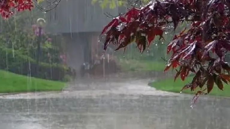 आज इन जिलों में बारिश का यलो अलर्ट, मौसम विभाग के अनुसार अब कुछ दिन बढ़ जाएगी गर्मी NewsTak