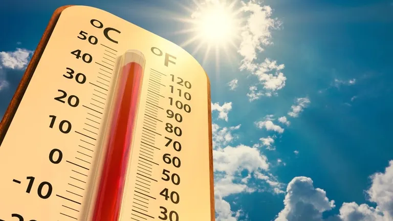 MP News: मध्यप्रदेश में कैसा रहेगा कल का मौसम, बारिश होगी या निकलेगी तेज धूप, यहां जानें सबकुछ यूपी में दिन में धूप और तेज हवाएं, रात में ओस का असर...