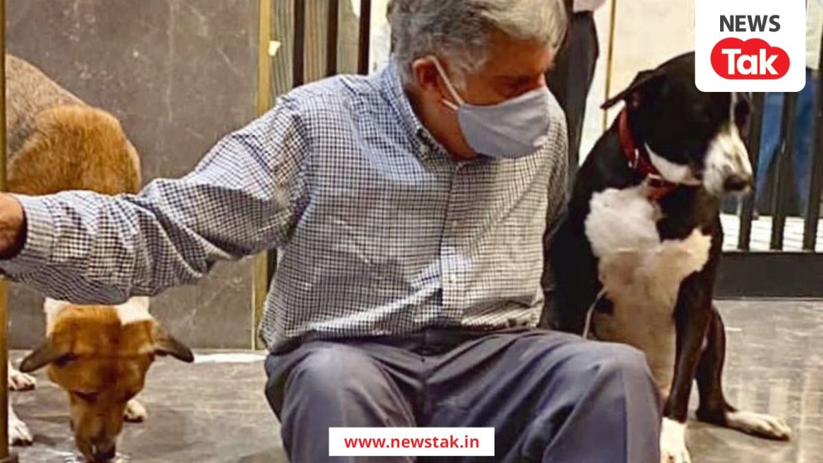 कुत्तों से था ऐसा लगाव कि खुलवाया अस्पताल और छोड़ दिया था लाइफटाइम अचीवमेंट अवॉर्ड, कुछ ऐसे थे 'रतन' NewsTak