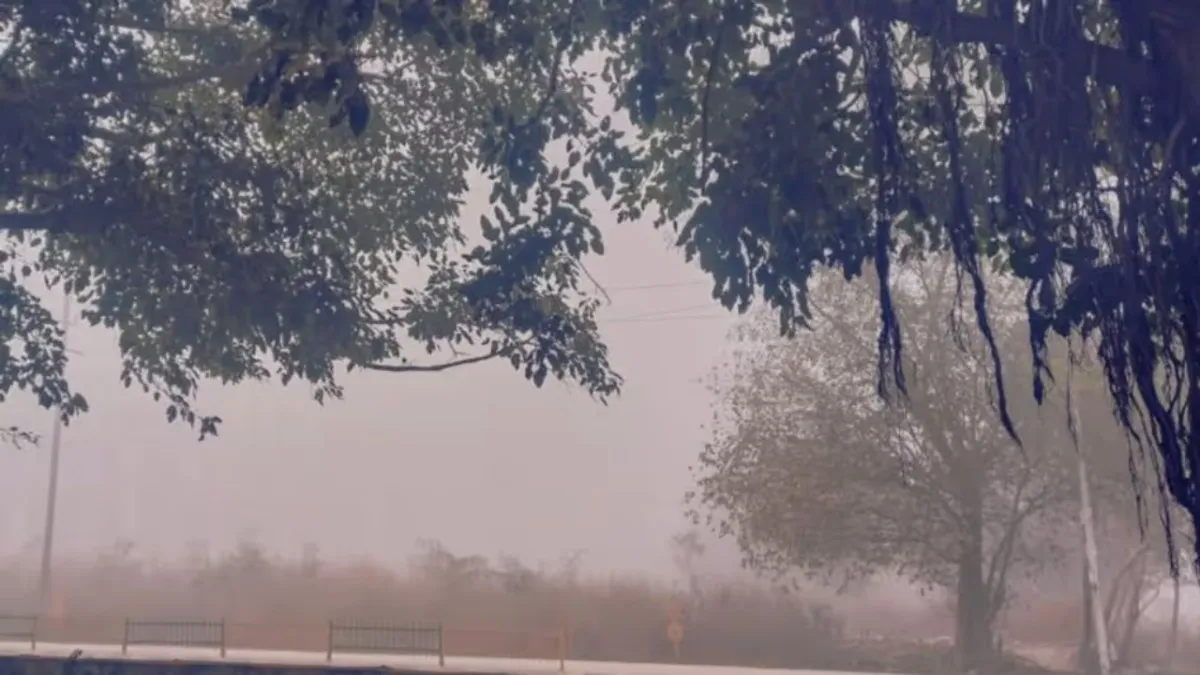 Winter has knocked in Madhya Pradesh