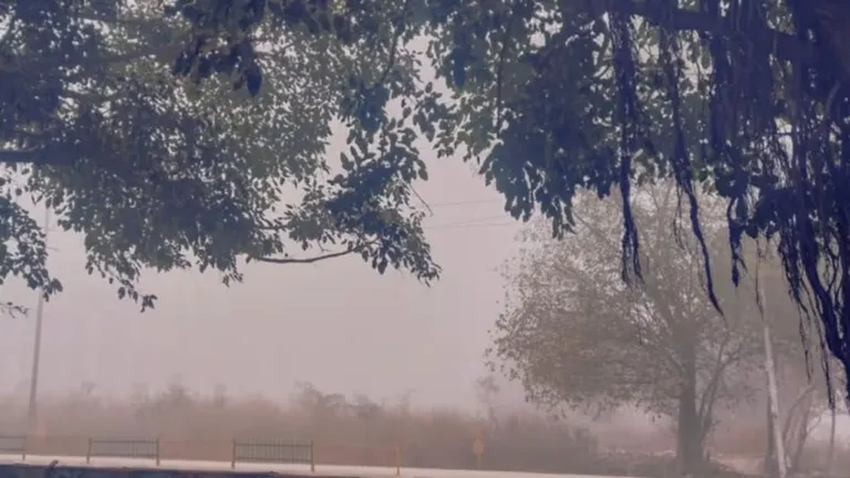 MP Weather: मध्यप्रदेश में सर्दियों ने दी दस्तक, ग्वालियर-पचमढ़ी की रातें होने लगी ठंडी Winter has knocked in Madhya Pradesh