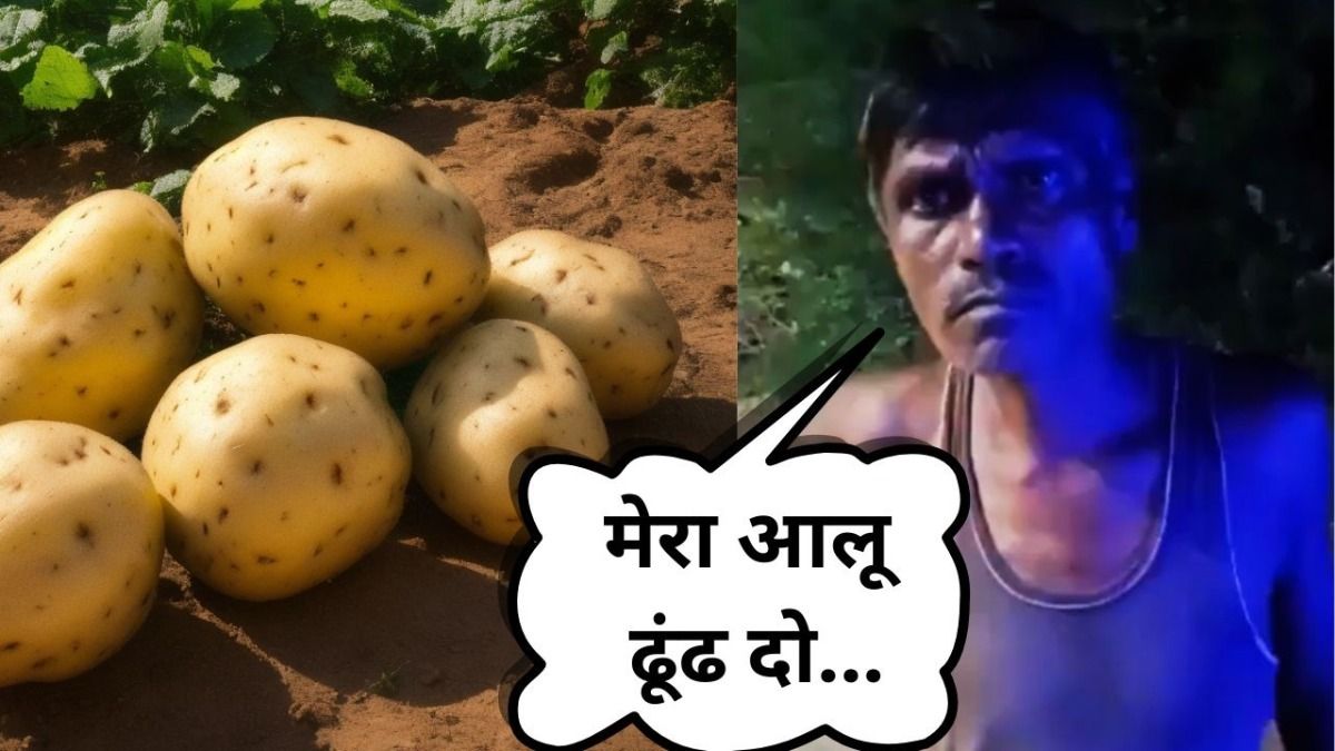 UP: आलू चोरी होने पर शराबी ने बुलाई पुलिस, फिर जो हुआ वो सोशल मीडिया पर जमकर Viral हो गया NewsTak