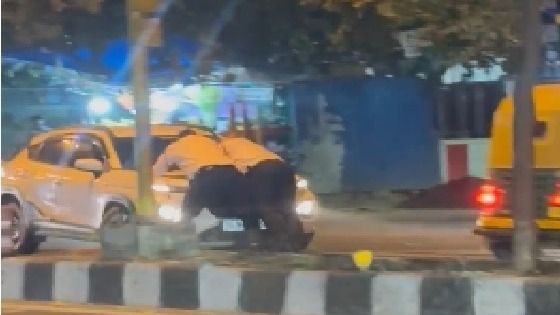 Delhi Traffic Police