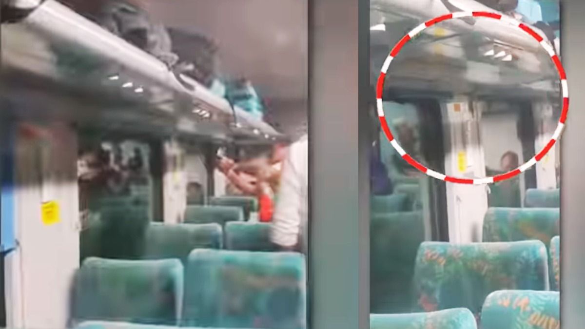 Viral Video: भोपाल-जबलपुर Train के AC कोच में दिखा जहरीला सांप, बोगी में लोगों की निकल गई चीख! भोपाल-जबलपुर जनशताब्दी ट्रेन में सांप दिखाई दिया तो यात्रियों में मचा हड़कंप.
