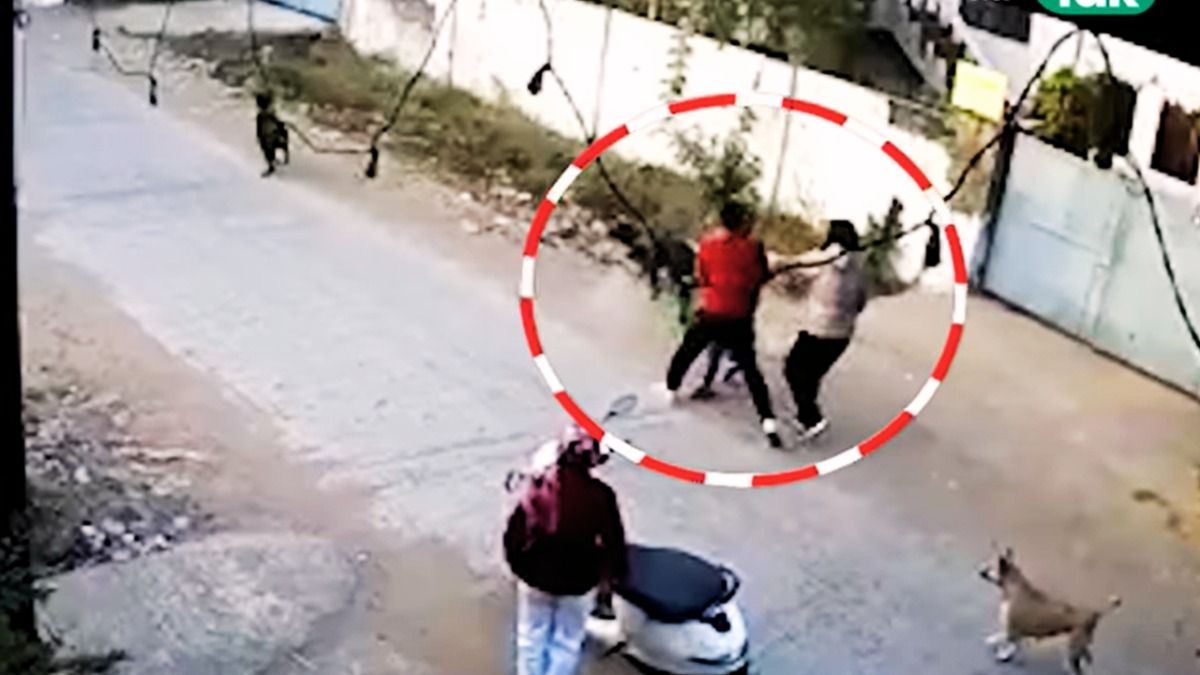 Video: बेटी को बचाने के लिए पिता ने कुत्ते पर फेंका पत्थर, तो पेट ओनर्स ने किया ऐसा सलूक कि खौल उठेगा खून भोपाल में कुत्तों का आतंक.