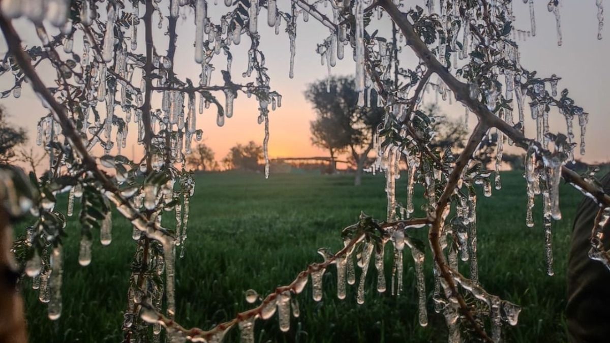 Rajasthan Weather Update: सीकर में अगले तीन दिनों तक भारी शीतलहर की चेतावनी, दिसंबर में ही जमने लगी बर्फ NewsTak