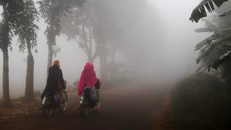 MP Weather: भोपाल में कड़ाके की ठंड ने तोड़ा 58 साल पुराना रिकॉर्ड, कई जिलों में शीतलहर का अलर्ट NewsTak