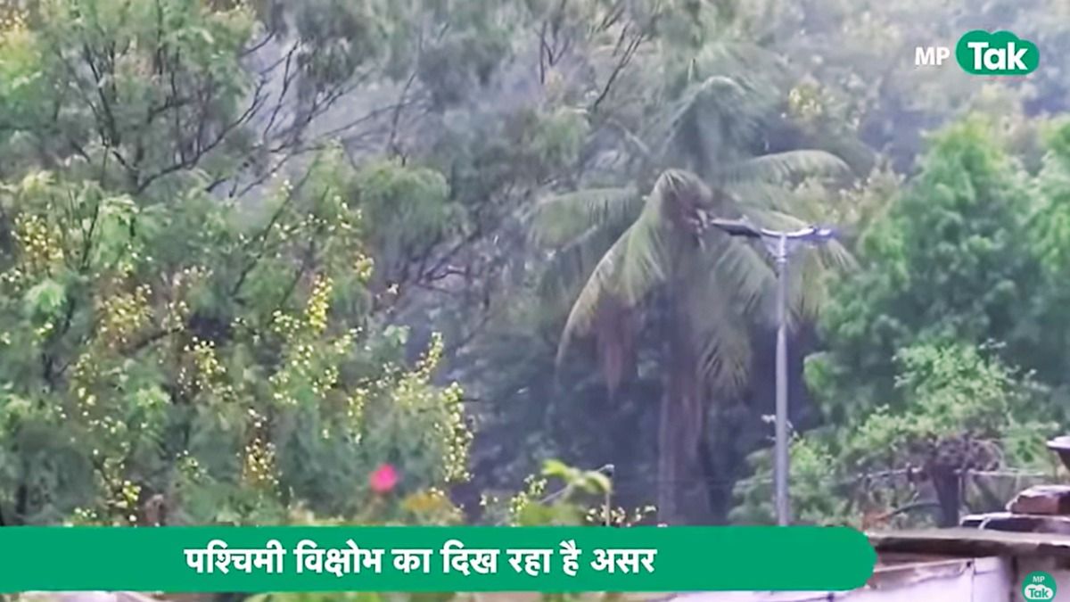 MP Weather: सावधान हो जाइए..! नए साल से पहले होगी बारिश और ओले की बरसात, भीगेंगे भोपाल-इंदौर मध्य प्रदेश में बारिश और ओले का अलर्ट.