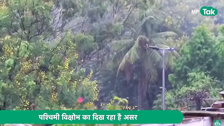 MP Weather: सावधान हो जाइए..! नए साल से पहले होगी बारिश और ओले की बरसात, भीगेंगे भोपाल-इंदौर मध्य प्रदेश में बारिश और ओले का अलर्ट.