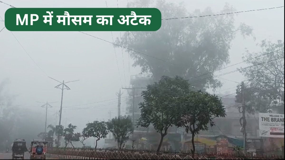 मध्य प्रदेश में शीतलहर और कोहरे का डबल अटैक हुआ है.