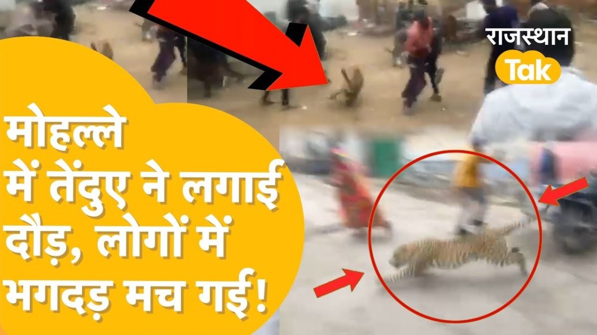 घर के सामने खड़े थे लोग, अचानक दरवाजे से निकला तेंदुआ, चीख पड़े लोग, Video वायरल NewsTak