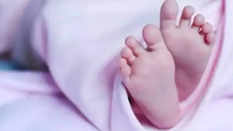 '4 बच्चे पैदा करो, 1 लाख इनाम पाओ...', MP परशुराम कल्याण बोर्ड के चीफ ने ये क्या कह दिया... भ्रूण एक सोसाइटी के बाहर कूड़ेदान में पड़ा हुआ था