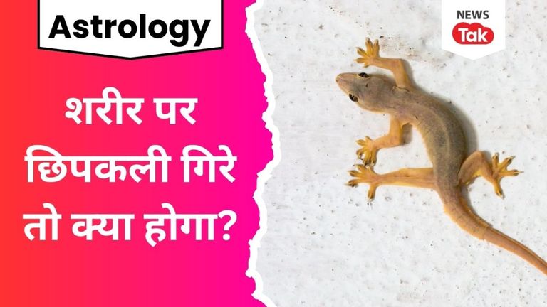 शरीर पर छिपकली गिरे तो क्या होगा? शुभ या अशुभ...ये 3 संकेत होते हैं खतरनाक Astro Gyan lizard