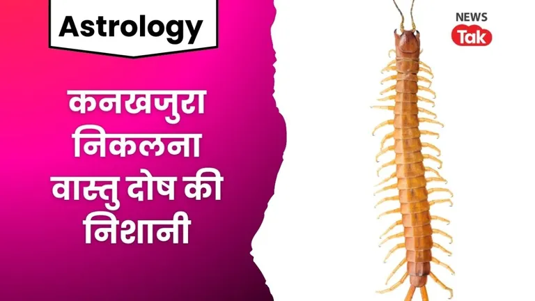 घर में कनखजुरा निकलने का क्या मतलब होता है, वास्तु शास्त्र में छुपा है इसका अनोखा राज, जानिए centipede