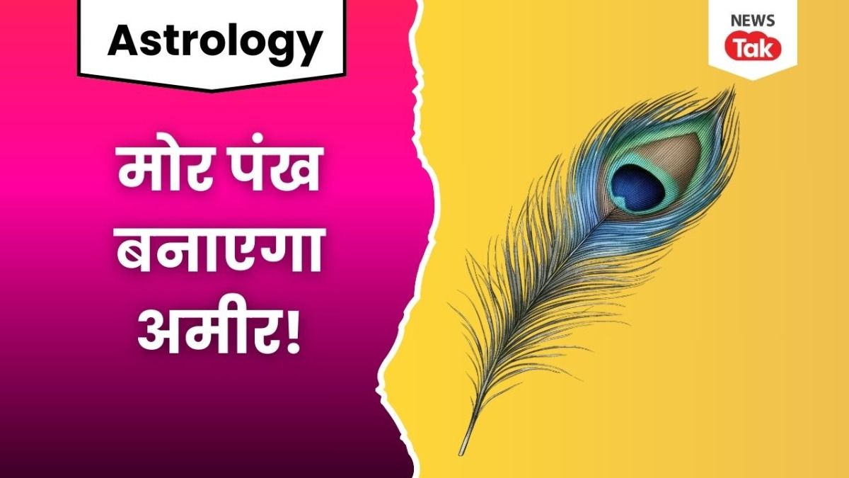 घर में इस स्थान पर रखा मोर पंख पहुंचा सकता है आर्थिक नुकसान, वास्तु का नियम खोलेगा किस्मत का ताला! peacock feather