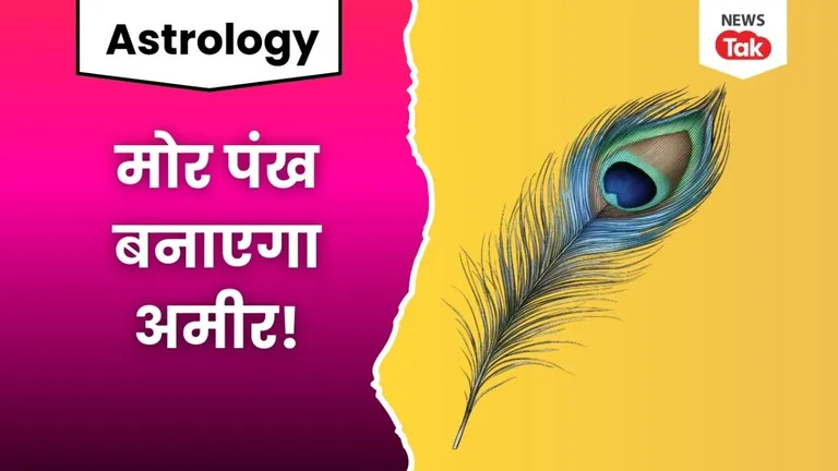 घर में इस स्थान पर रखा मोर पंख पहुंचा सकता है आर्थिक नुकसान, वास्तु का नियम खोलेगा किस्मत का ताला! peacock feather