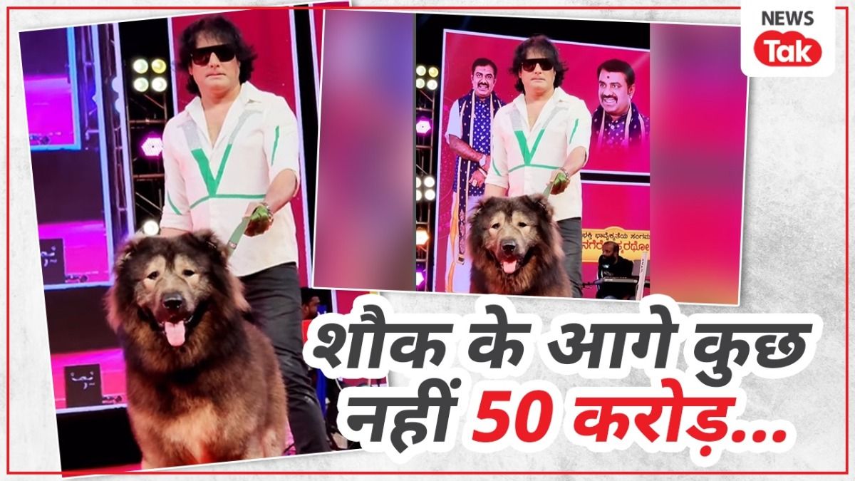 शौक बड़ी चीज है... इस भारतीय ने खरीदा दुनिया का सबसे महंगा DOG, कीमत जानकर उड़ जाएंगे होश! दुनिया का सबसे महंगा कुत्ता भारतीय ब्रीडर ने खरीदा.