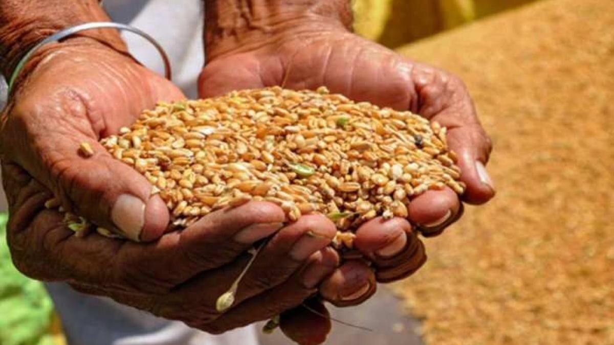 बिहार में राशन कार्ड धारियों को मिली राहत, 30 जून तक करा सकते है आधार सीडिंग NewsTak